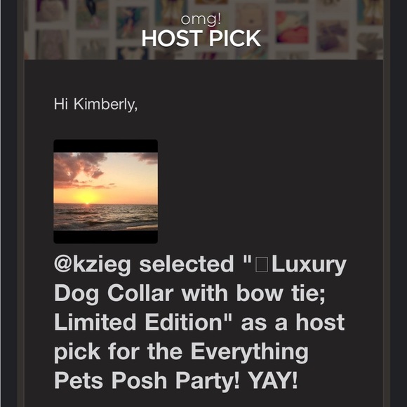 ๐พLuxury Dog Collar with Bow Tie ~ Limited Edition ~ Pets ~ OSFM ~Host Pick x9 - Picture 8 of 15